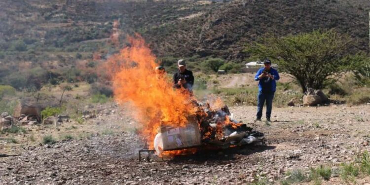 Destruyen y queman 38.7 kg de narcóticos decomisados en San Luis Potosí