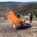 Destruyen y queman 38.7 kg de narcóticos decomisados en San Luis Potosí