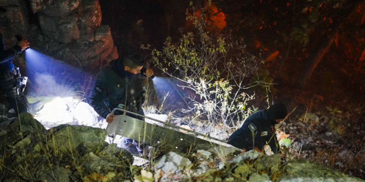 Seis muertos tras el aterrador desplome de una avioneta en Nayarit