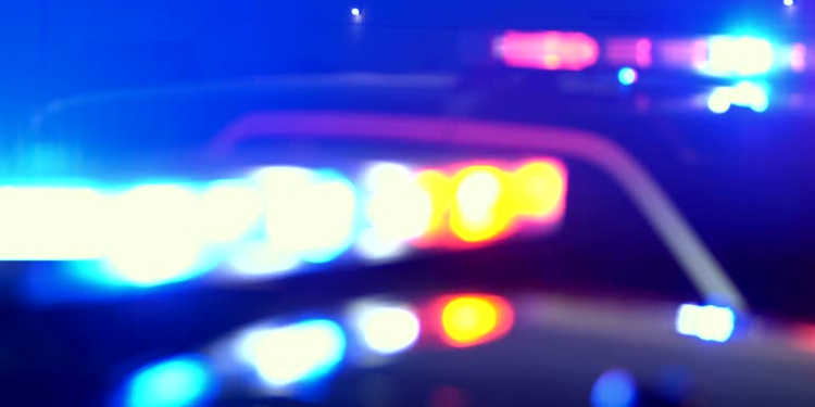 Atrapan a padre e hijo tras un robo con violencia a una tienda de licores