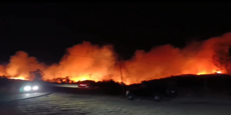 Incendio consume 2,400 hectáreas en Tijuana y Tecate