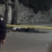 Joven es víctima de linchamiento en Tekit, Yucatán, tras ser acusado de un homicidio