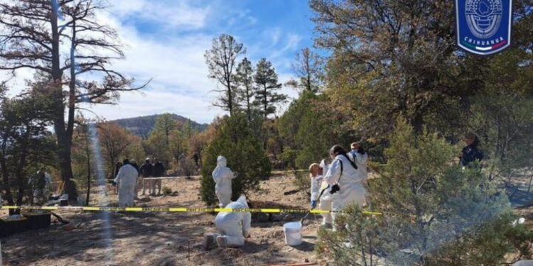 La Fiscalía de Chihuahua confirma el hallazgo de 72 cuerpos en fosas clandestinas