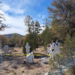 La Fiscalía de Chihuahua confirma el hallazgo de 72 cuerpos en fosas clandestinas