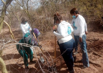 Fiscalía de Sonora y colectivo Buscadoras por la Paz hallan 11 fosas clandestinas en Hermosillo