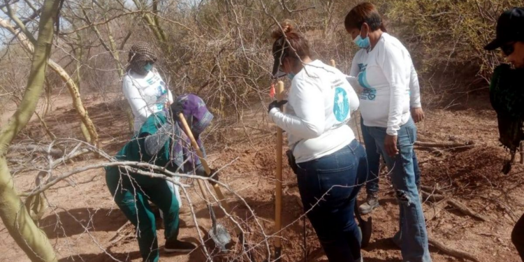 Fiscalía de Sonora y colectivo Buscadoras por la Paz hallan 11 fosas clandestinas en Hermosillo