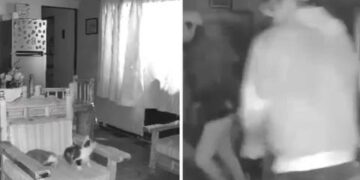 VIDEO | Balacera en Altavista: Grupo armado irrumpe en una casa de Cuernavaca