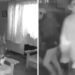 VIDEO | Balacera en Altavista: Grupo armado irrumpe en una casa de Cuernavaca