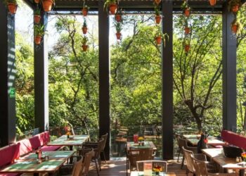 Esta librería mexicana es catalogada una de las más bellas del mundo