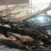 La SSPC reporta 11 árboles caídos debido a los fuertes vientos en la capital