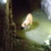Rescatan a un perrito atrapado en un canal de aguas negras