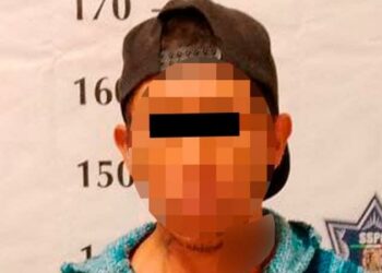 Vándalo rondaba viviendas en la Progreso