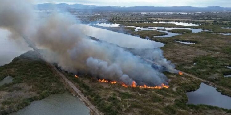 Video | Enorme incendio cerca de Tanque Tenorio moviliza a corporaciones