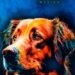 El “Dog Fest” 2025 se celebra en San Luis Potosí