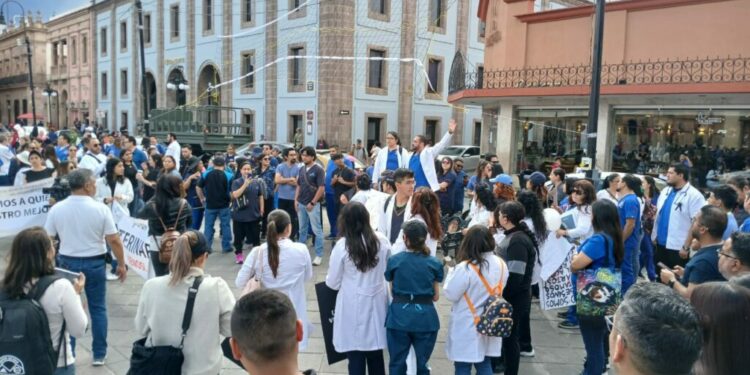 Veterinarios en SLP exigen el fin del acoso y hostigamiento por parte de dueños de mascotas