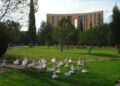 VIDEO | Un conductor imprudente atropella y mata a un pato en el Parque Tangamanga