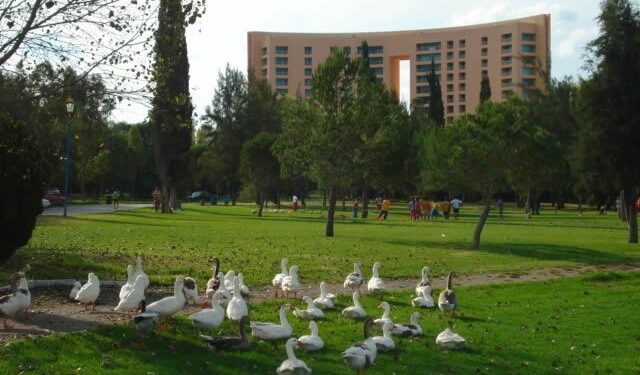 VIDEO | Un conductor imprudente atropella y mata a un pato en el Parque Tangamanga