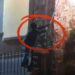 Video | Capturan a sujeto por daños en el alumbrado de Plaza de Aranzazú