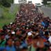 VIDEO | En SLP no se han producido repatriaciones masivas de migrantes