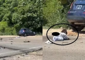 VIDEO | Bebé sobrevive a un brutal accidente y es rescatado mientras gateaba en la carretera