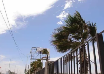 Servicios Municipales de San Luis Potosí intensifican acciones preventivas por fuertes vientos y caída de árboles