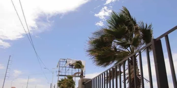 Servicios Municipales de San Luis Potosí intensifican acciones preventivas por fuertes vientos y caída de árboles
