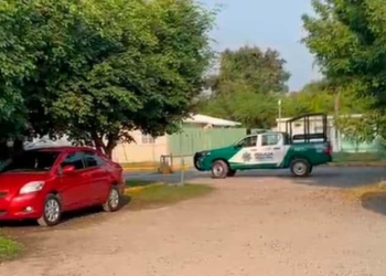 Bebé de ocho meses es encontrada con vida en predio baldío cerca del Instituto Tecnológico de Tamazunchale
