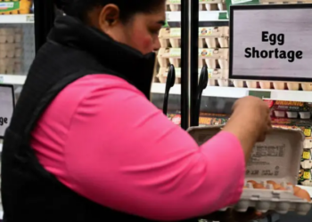 Por qué se ha disparado el precio de los huevos en EE.UU. y hasta los supermercados racionan su compra