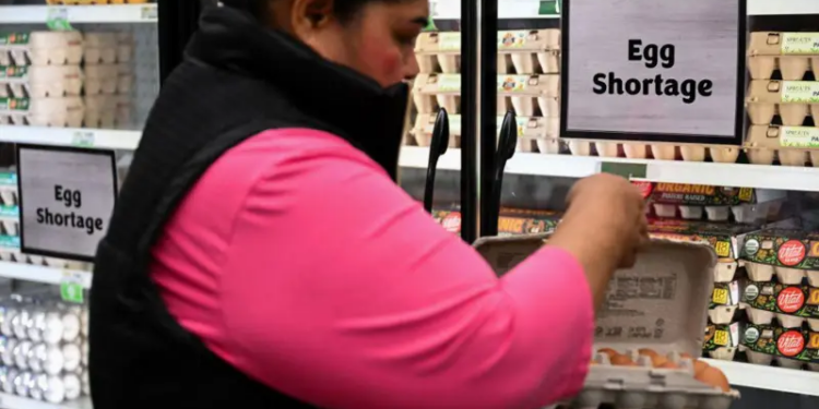 Por qué se ha disparado el precio de los huevos en EE.UU. y hasta los supermercados racionan su compra