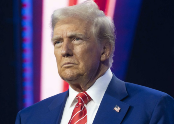6 frenos que han puesto los jueces a la agenda de Trump (y la indignación del vicepresidente JD Vance y Elon Musk)