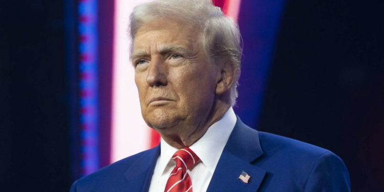 6 frenos que han puesto los jueces a la agenda de Trump (y la indignación del vicepresidente JD Vance y Elon Musk)
