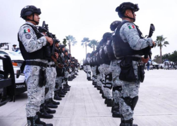 Operación Frontera Norte: 522 detenidos y millonarias incautaciones