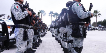Operación Frontera Norte: 522 detenidos y millonarias incautaciones