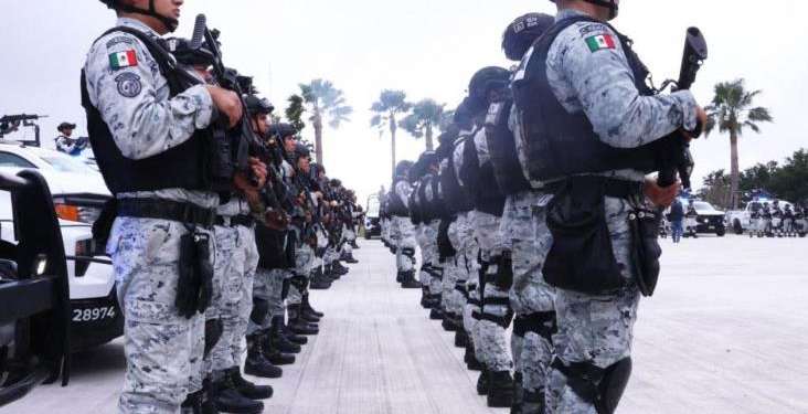 Operación Frontera Norte: 522 detenidos y millonarias incautaciones