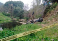 Mujer muere en trágico accidente vehicular en el eje Tancanhuitz-Carrizo, cerca de Chacatitla 1