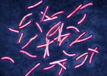 El problema sobre superbacterias que tomó años para ser resuelto por los científicos y que la IA solucionó en dos días