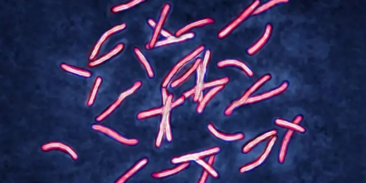 El problema sobre superbacterias que tomó años para ser resuelto por los científicos y que la IA solucionó en dos días