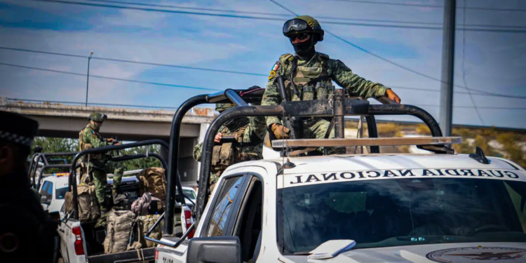 Operación Frontera Norte acumula 746 detenidos y más de 11 mil kilos de droga incautada