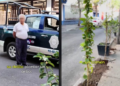 Detienen a hombre de 67 años mientras plantaba un árbol de limones en la vía pública en CDMX