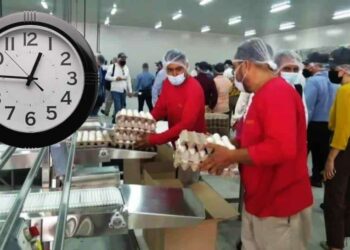 ¿En qué fecha comenzará a aplicarse la jornada laboral de 40 horas?