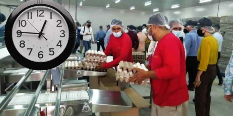 ¿En qué fecha comenzará a aplicarse la jornada laboral de 40 horas?