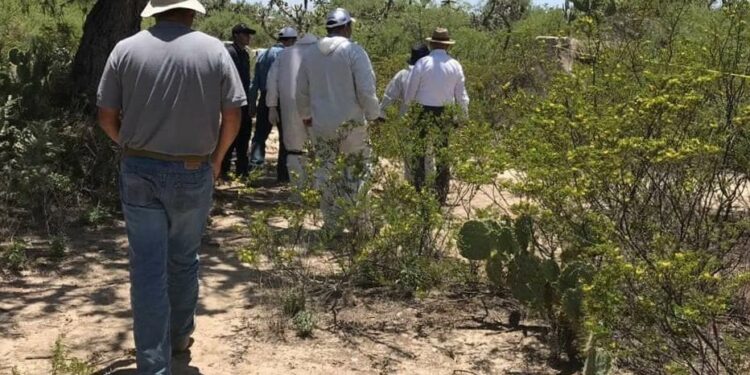 La FGE investiga el hallazgo de un presunto ‘narco campamento’ y fosas