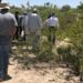 La FGE investiga el hallazgo de un presunto ‘narco campamento’ y fosas