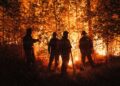 Pozos sigue libre de incendios forestales