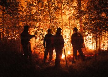 Pozos sigue libre de incendios forestales