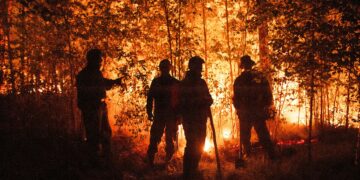Pozos sigue libre de incendios forestales