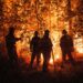 Pozos sigue libre de incendios forestales