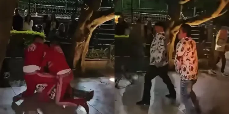 VIDEO | Conflicto entre mariachis y norteños se resuelve a golpes en Guanajuato