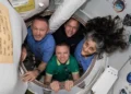 VIDEO | Estos son los efectos permanentes que los astronautas varados podrían enfrentar