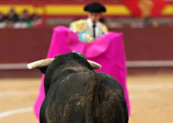 El Congreso CDMX da luz verde a las corridas de toros sin violencia